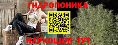 мяу мяу мука Гагарин