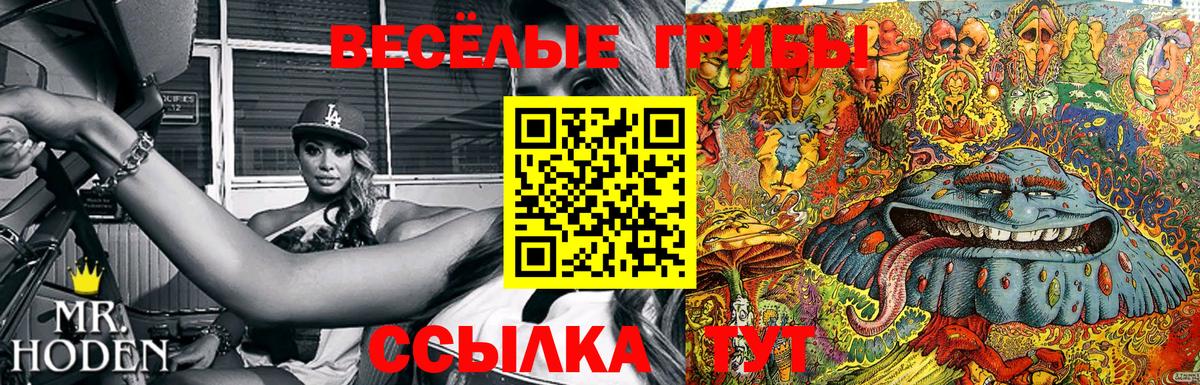Балаково  Галлюциногенные грибы Psilocybine cubensis  Псилоцибиновые грибы мицелий  Вход с VPN 