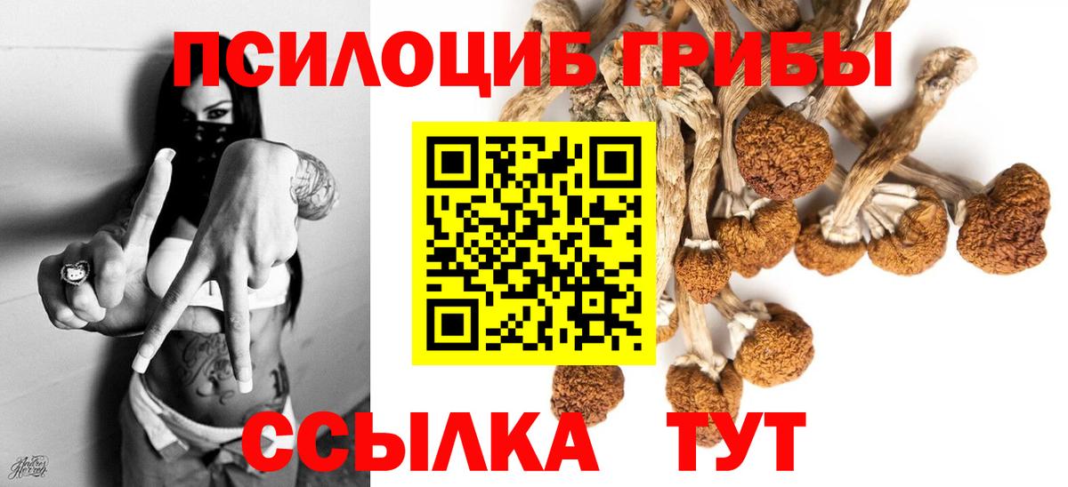 Конопля  ГАШ  Купить наркотик  Вход с VPN  COCAIN  A PVP СОЛЬ   Балаково  МЕФ  